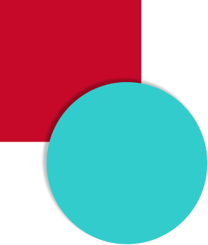 saldrey study compass logo